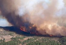 Incendio forestal obligó a evacuar a más de mil personas en España Incendio forestar obligó a evacuar a más de mil personas en España