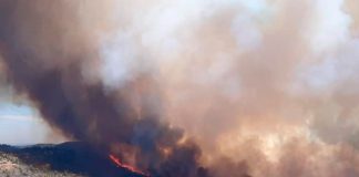 Incendio forestar obligó a evacuar a más de mil personas en España