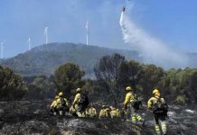 Más de 100 incendios forestales se devoran las regiones del noroeste de España Más de 100 incendios forestales se devoran las regiones noreste de España