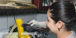 Foto: Marianela, una joven con éxito a través de negocio de elotes en Estelí / TN8