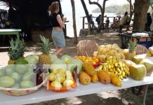 Gran variedad de frutas en el famoso mercadito de Santa Cruz en Ometepe Gran variedad de frutas en el famoso mercadito de Santa Cruz en Ometepe