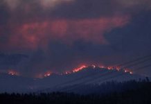 Incendio forestal en España afecta a al menos 4 mil hectáreas