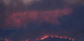 Incendio forestal en España afecta a al menos 4 mil hectáreas