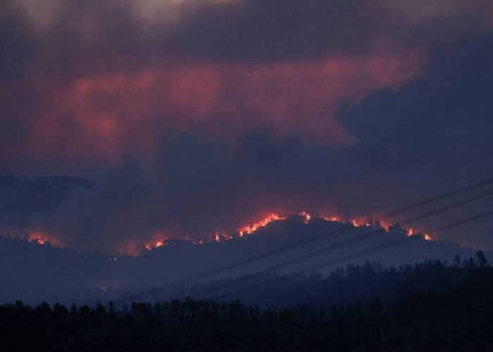 Incendio forestal en España afecta a al menos 4 mil hectáreas