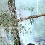 Familia queda sin nada tras incendiarse su casa en Río Blanco Foto: Familia afectada por incendio en una vivienda de Río Blanco / TN8