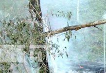 Familia queda sin nada tras incendiarse su casa en Río Blanco Foto: Familia afectada por incendio en una vivienda de Río Blanco / TN8