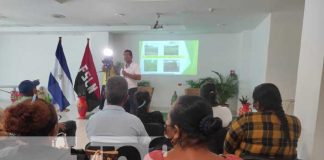 Foto: Capacitan en el INTA Nicaragua sobre producción y manejo del forraje / TN8