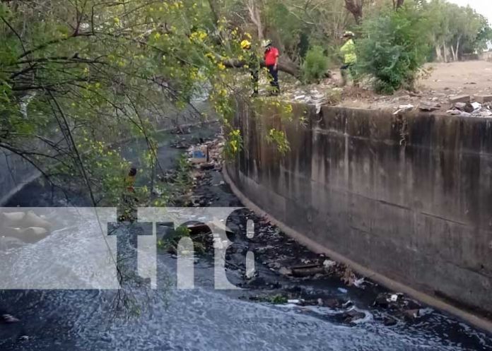 Foto: Rescate de hombre que cayó en un cauce de Managua / TN8