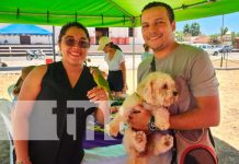 Familia de León participaron en el festival «Mi mascota, Mi amigo» Familia de León participaron en el festival "Mi mascota, Mi amigo"