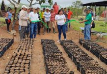 Precioso vivero de plantas forestales y frutales se inauguró en San Carlos, Río San Juan Precioso vivero de plantas forestales y frutales se inauguró en San Carlos, Río San Juan