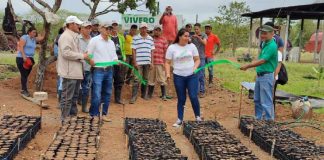 Precioso vivero de plantas forestales y frutales se inauguró en San Carlos, Río San Juan