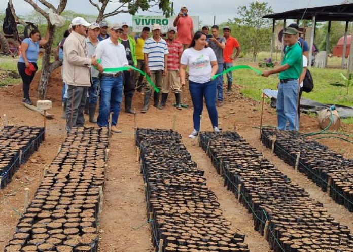 Precioso vivero de plantas forestales y frutales se inauguró en San Carlos, Río San Juan