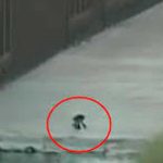 "Coyote" abandonó a un bebé guatemalteco en la frontera de México-EEUU