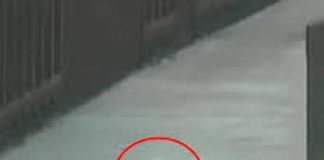 "Coyote" abandonó a un bebé guatemalteco en la frontera de México-EEUU