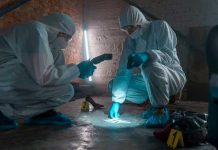 Golpeó y asfixió a su madre en México para luego dormir con su cadáver Golpeó y asfixió a su madre en México para luego dormir con su cadáver