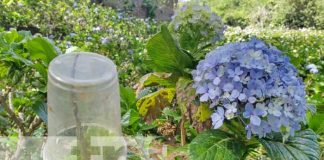 Foto: Quejas por basura que deja la gente en el campo Mil Flores Rubí / TN8