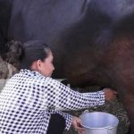 «Me siento plena»: Historia de Ángela Galeano, exitosa productora en Granada Foto: Doña Ángela, ejemplo de mujer exitosa en Granada / TN8