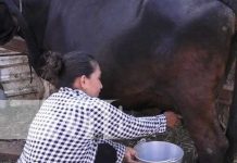 Foto: Doña Ángela, ejemplo de mujer exitosa en Granada / TN8