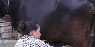 Foto: Doña Ángela, ejemplo de mujer exitosa en Granada / TN8