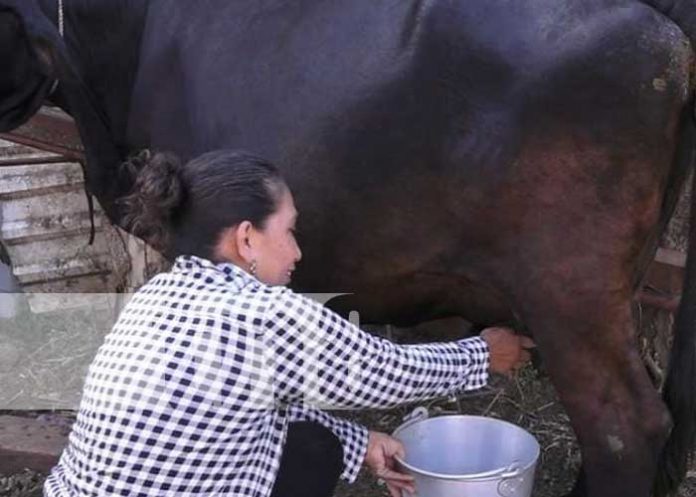 mujegran-2 Foto: Doña Ángela, ejemplo de mujer exitosa en Granada / TN8