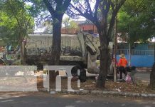 “Aprenden a la buena o a la mala”: Multa a quienes tiren basura en Managua Foto: Alcaldía de Managua multa a quienes incumplan con la basura / TN8