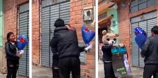 Joven da sorpresa a su novio con dos osos gigantes