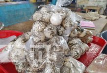 Una delicia «polémica»: Venta de huevos de Paslama en el Israel Lewites Foto: Venta de huevos de Paslama en Managua / TN8