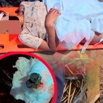 ¡Abominable! Violan a niña y le incrustan clavos en la cabeza en Perú
