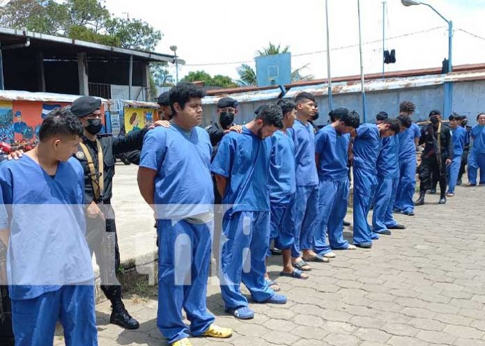 Foto: Policía captura a delincuentes en Carazo y Jinotega / TN8