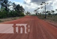 Rehabilitan 15 kms de carreteras con acceso a centros turísticos en Puerto Cabezas Foto: Mejoras de caminos en Puerto Cabezas, Caribe de Nicaragua / TN8