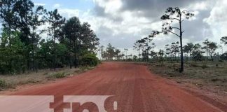 Foto: Mejoras de caminos en Puerto Cabezas, Caribe de Nicaragua / TN8