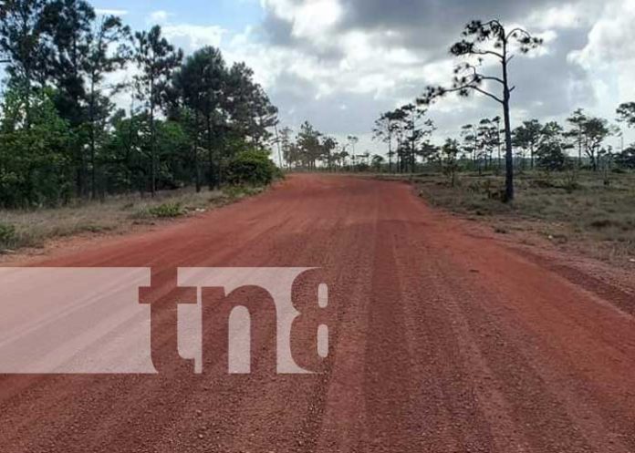 Foto: Mejoras de caminos en Puerto Cabezas, Caribe de Nicaragua / TN8