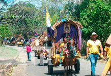 Devoción y tradición mueve a protagonista de las carretas peregrinas Devoción y tradición mueve a protagonista de las carretas peregrinas