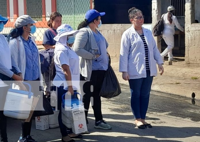 Brigadistas de salud inmunizan a familias del barrio Santa Elena, Managua