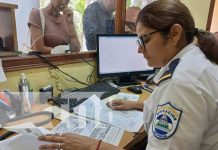 Trámites migratorios seguros, rápidos y eficientes en Granada Foto: Servicios de trámites migratorios en Granada / TN8