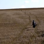 Rusia califica acuerdo de cereales como gesto de buena voluntad Rusia califica acuerdo de cereales como gesto de buena voluntad