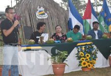Lanzan programa «Verde, Te Quiero Verde» en Bluefields Foto: Campaña ambiental en Bluefields / TN8