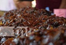 El almíbar más grande de Granada: una deliciosa tradición de 14 años