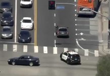 Al estilo GTA un sospechoso asesino protagoniza una persecución policial en Los Ángeles (VIDEO) Foto: Al estilo GTA un sospechoso asesino protagoniza una persecución policial en Los Ángeles / Cortesía