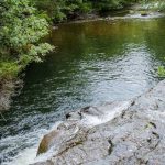 Foto: Matagalpa: Tuma La Dalia reporta su primera víctima por sumersión / TN8
