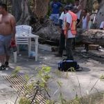 Bebé de 11 meses muere al derrumbarse un árbol en balneario de Comanjilla, México Foto: Bebé de 11 meses muere al derrumbarse un árbol en balneario de Comanjilla, México / Cortesía