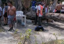 Bebé de 11 meses muere al derrumbarse un árbol en balneario de Comanjilla, México Foto: Bebé de 11 meses muere al derrumbarse un árbol en balneario de Comanjilla, México / Cortesía