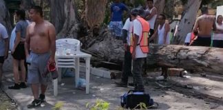 Foto: Bebé de 11 meses muere al derrumbarse un árbol en balneario de Comanjilla, México / Cortesía