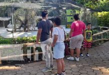 Foto: Parque Zoológico Nacional: Un espacio que debe visitar en esta Semana Santa / TN8