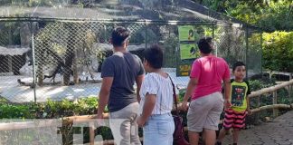 Foto: Parque Zoológico Nacional: Un espacio que debe visitar en esta Semana Santa / TN8