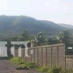 Matan a “Frijol” con más de 40 estocadas en Sébaco, Matagalpa Foto: Matan a “Frijol” con más de 40 estocadas en Sébaco, Matagalpa / TN8