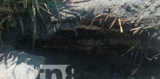 Foto: Jovencito muere ahogado en un sumidero de un trapiche en Santa Teresa, Carazo / TN8