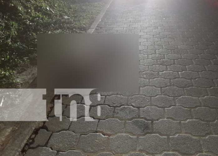 Foto: ¡Otro más! Hombre perece tras accidente de tránsito en San Fernando / TN8