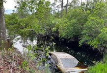 Hallan cuerpo en vehículo sumergido que podría ser de maestro en Florida Hallan cuerpo dentro en vehículo sumergido que podría ser de un maestro en Florida