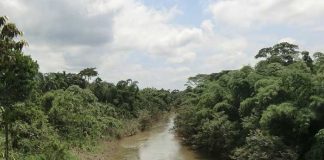 Una mujer muere ahogada en el río Bambana en Rosita, caribe norte